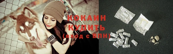 эйфоретик Няндома